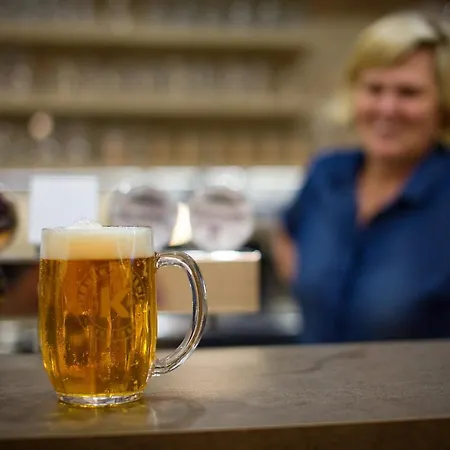 Gasthuis A Restaurace Zlatovlaska U Zamku Cervena Lhota 4*